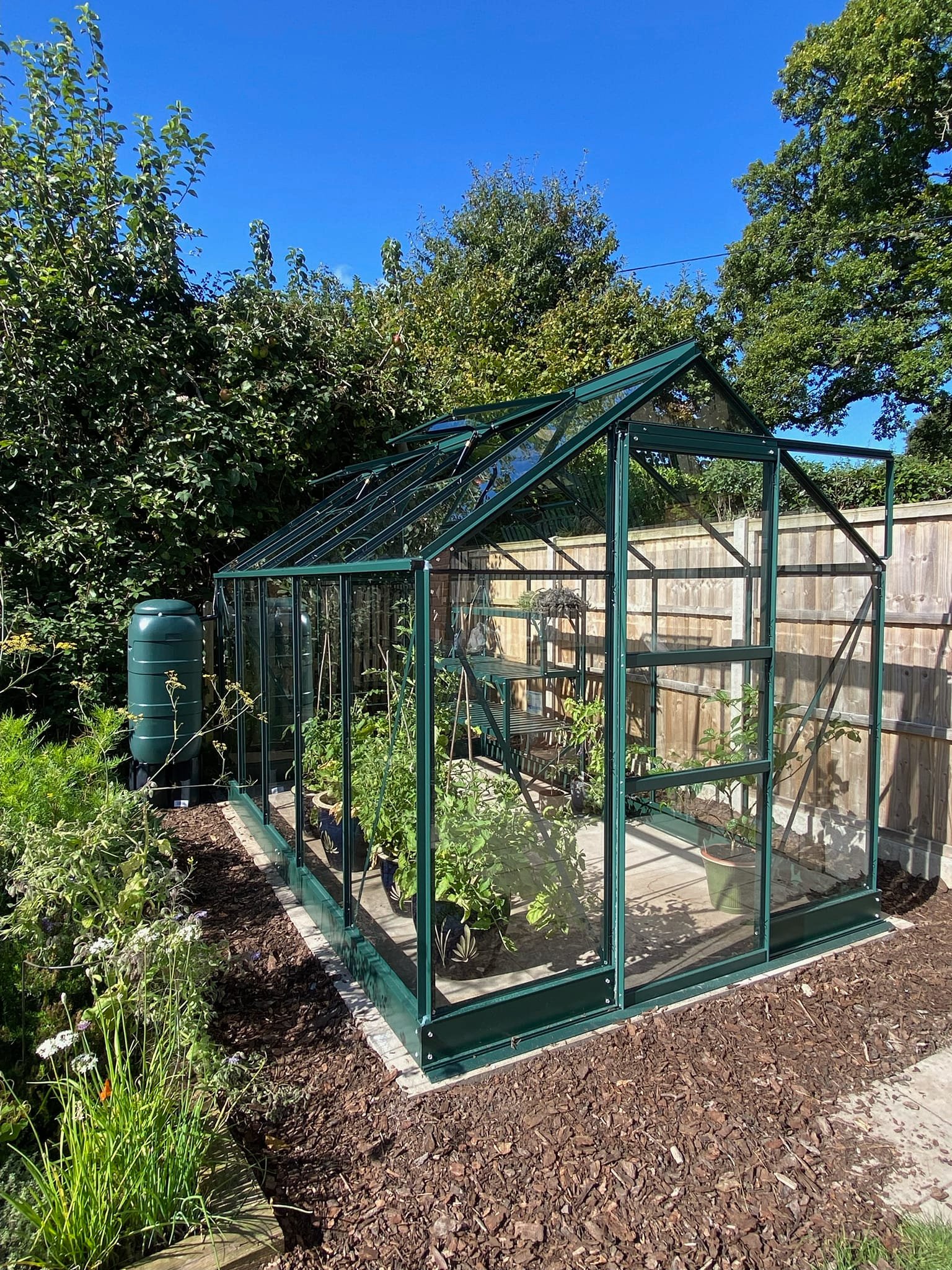 Greenhouse